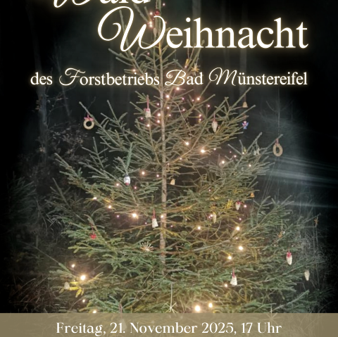 Waldweihnacht, © Julia Bongartz