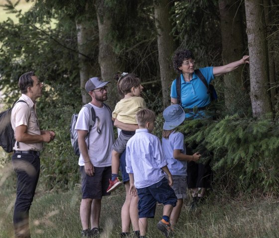 Im Lebensraum des Bibers, © Eifel Tourismus GmbH_Vollmer