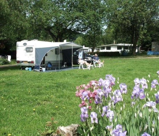 Stellpl&auml;tze, &copy; Campingplatz Siesta