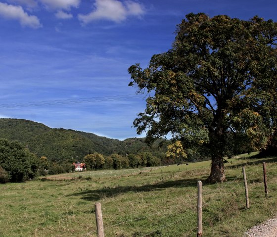 Blick &uuml;ber Felder und Wiesen